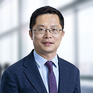 Dr Wen Dong Li
