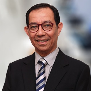 Professor Emeritus Tan Sri Dato' Dzulkifli Abdul Razak